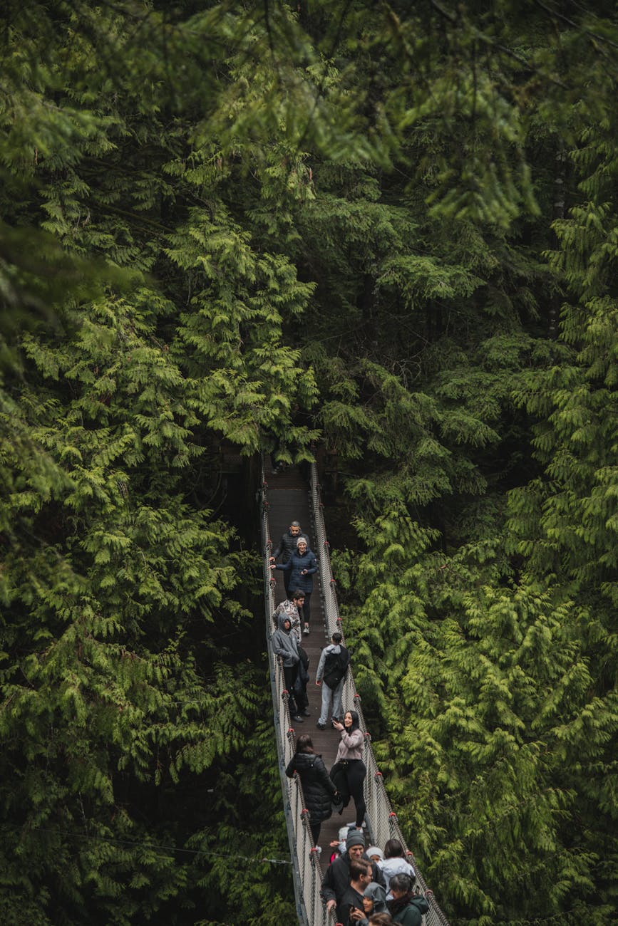 tourists on the capilano suspension bridge